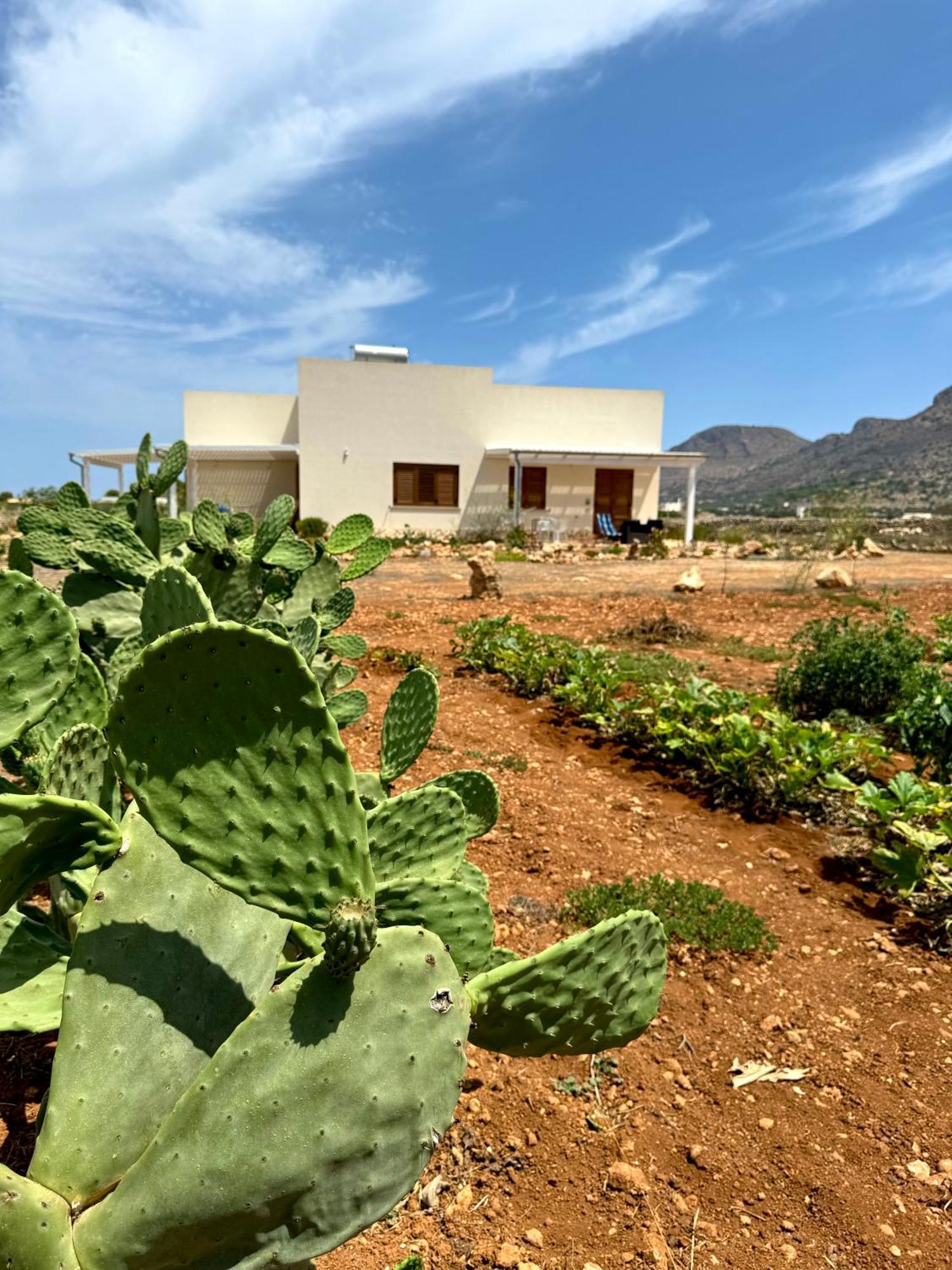 Aria Vacanze Favignana