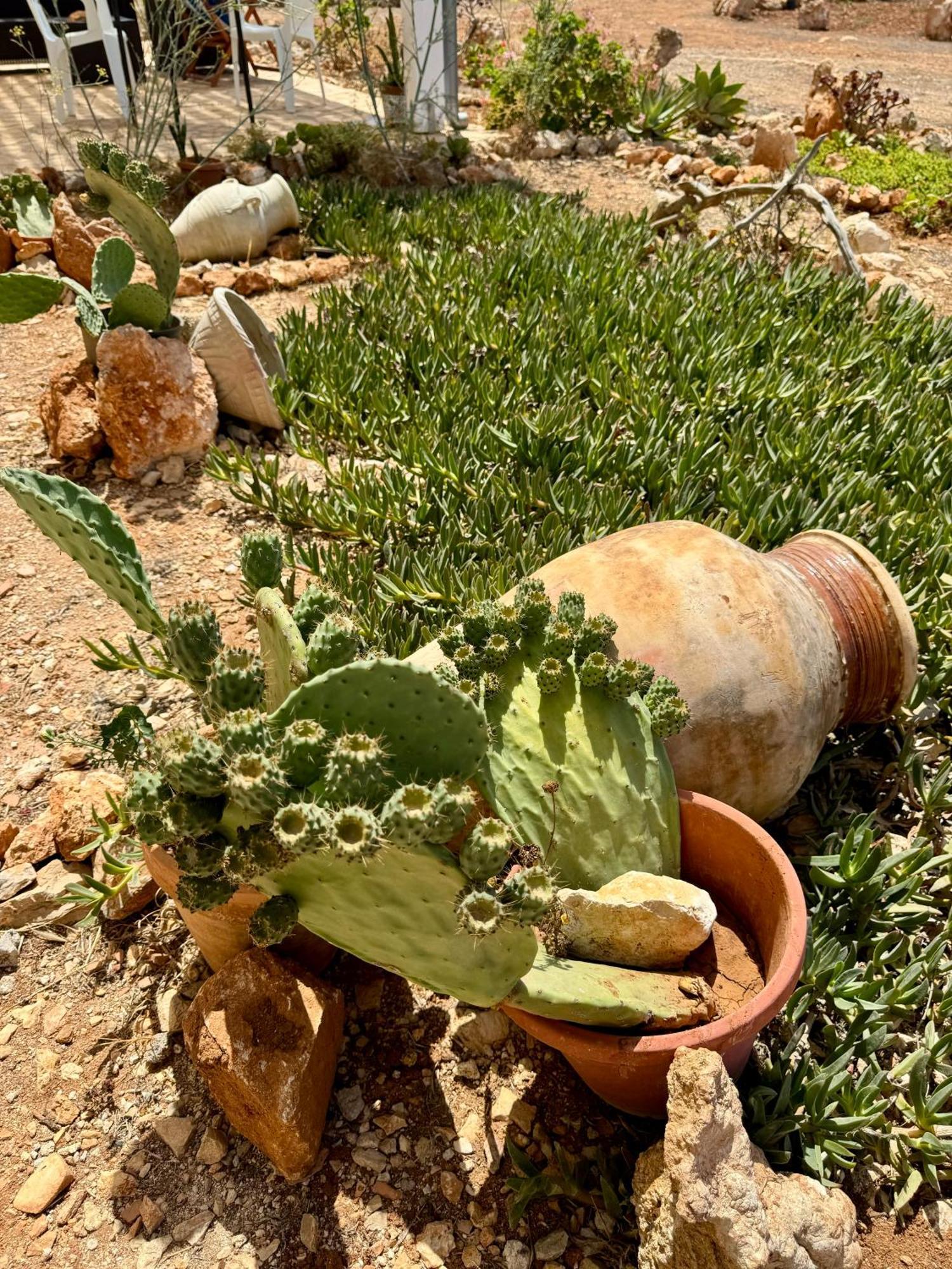 Aria Vacanze * Favignana